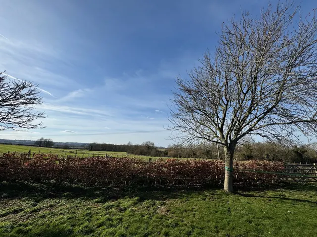 Countryside view