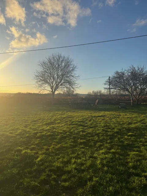 Garden at sunset