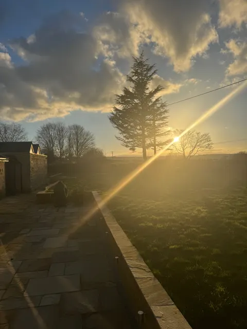Sunlight in the garden